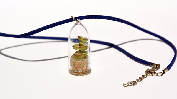 Tulip Live Necklace Plant - Terrarium Suede Blue Necklace Succulent BooBoo Plant